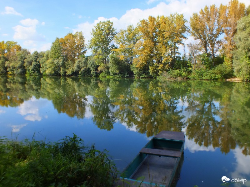 Őszi vízparti csendélet