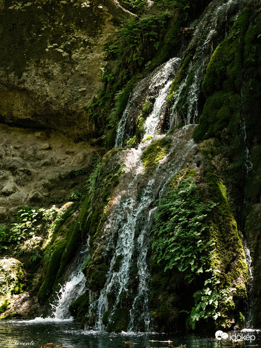Rhodes - Butterfly Valley