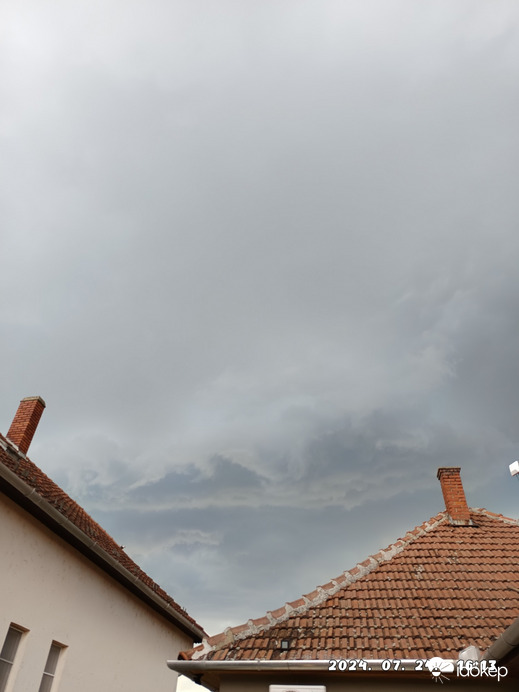 Polgár