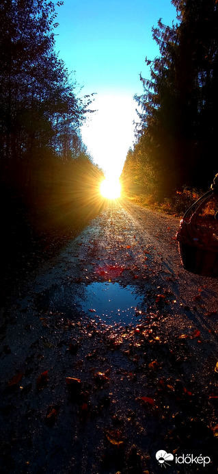 Észlelési fényképek