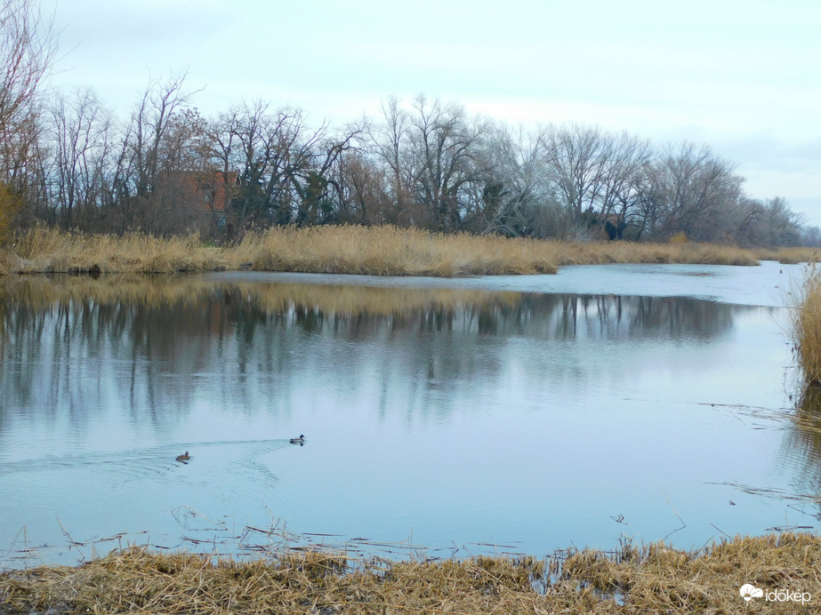 fogy a jég, elfogytak a kacsák 