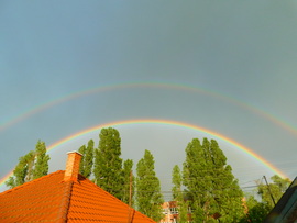 lica fotója