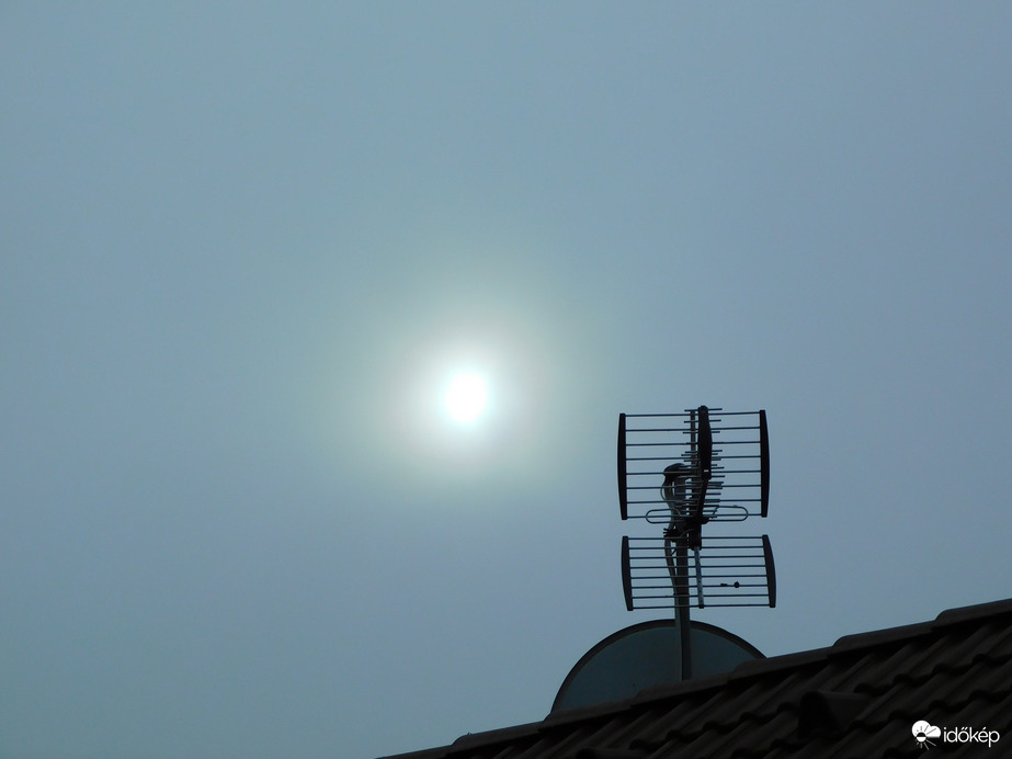 ebből se lett semmi