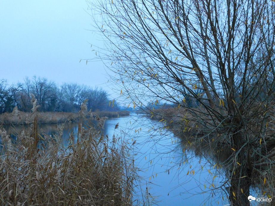 minden ronda napfény nélkül :( 