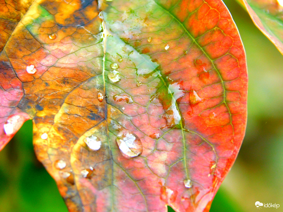 A jó éjjeli műsorból is kimaradtunk,