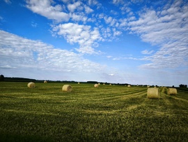 Határban