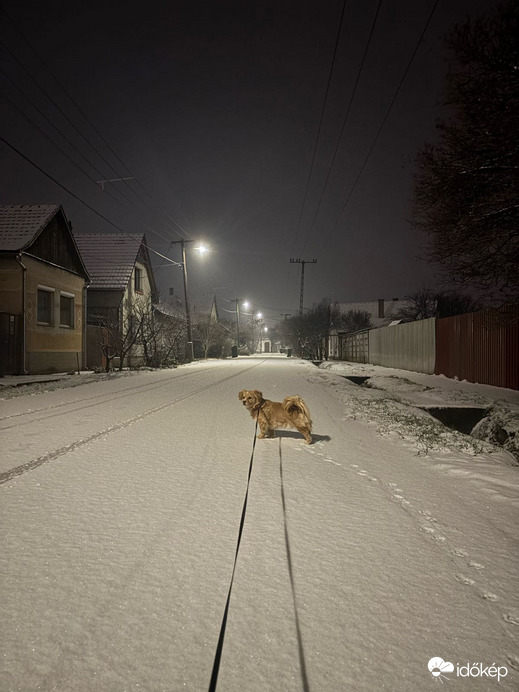Hódmezővásárhely