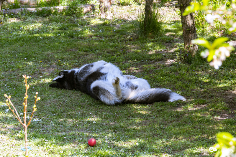 Délutáni szieszta :))