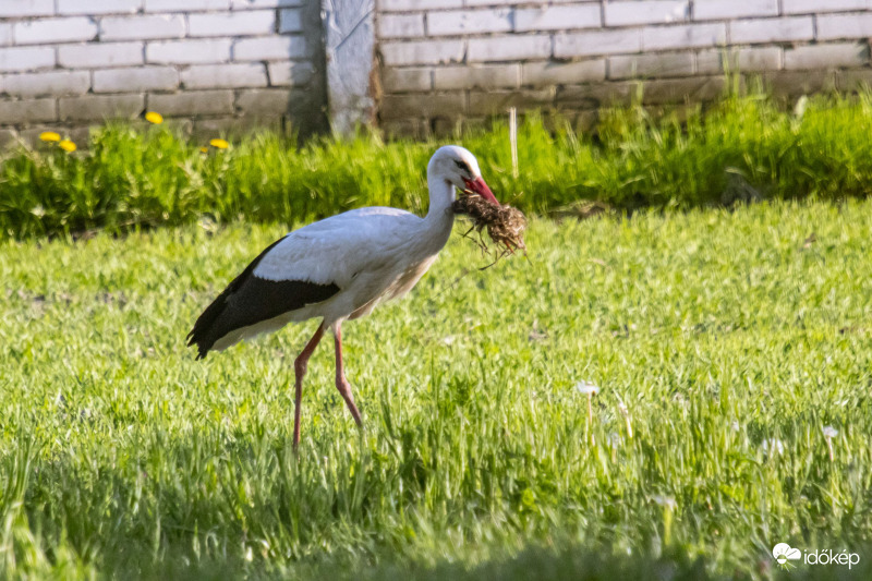 ...épp jó lesz a tatarozáshoz :)