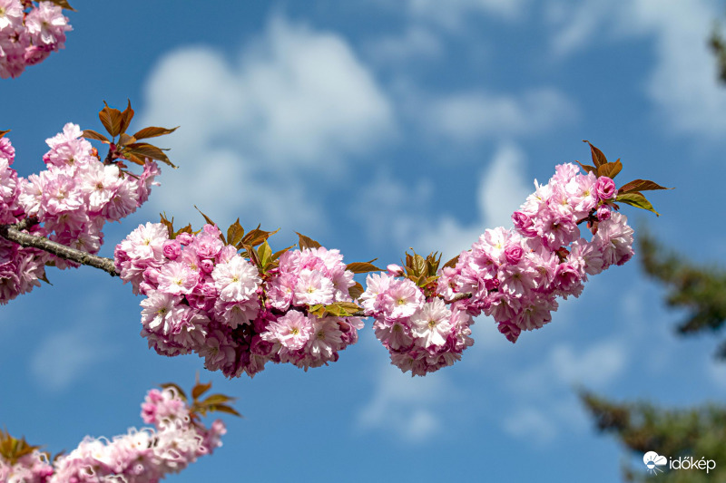 A tavasz egy újabb pillanata