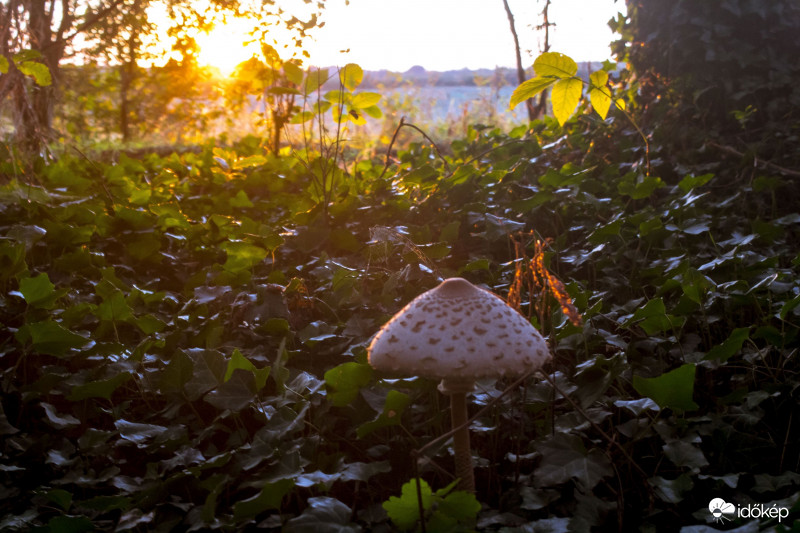 Ősz, Naplemente 2019/10/09.