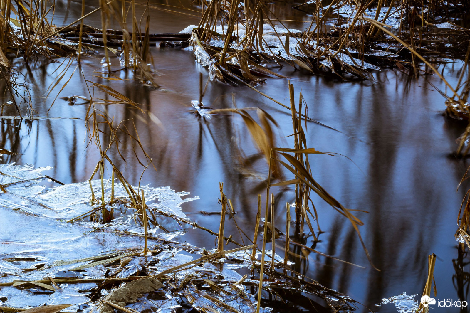 Rinya patak 2021.02.13.