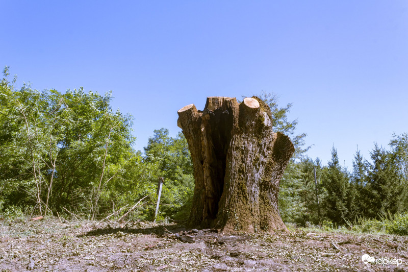Ennyi maradt 300 év után...