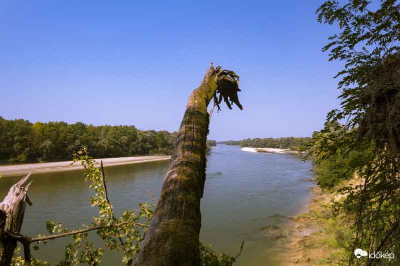 Dráva. 2019.09.01. délidőben