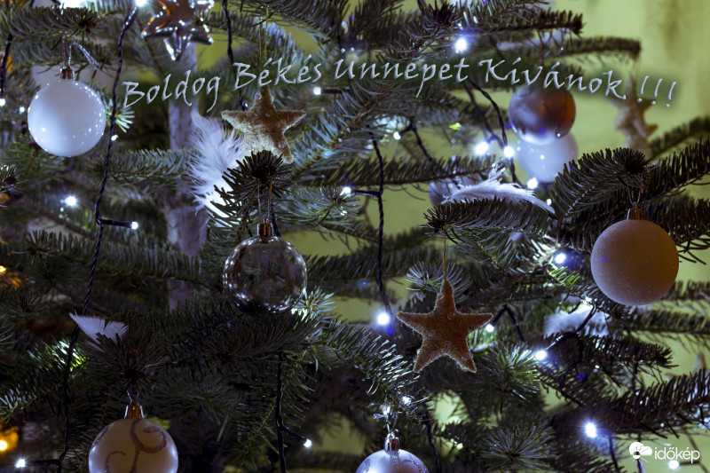 Békés Boldog Ünnepeket Mindenkinek!!!
