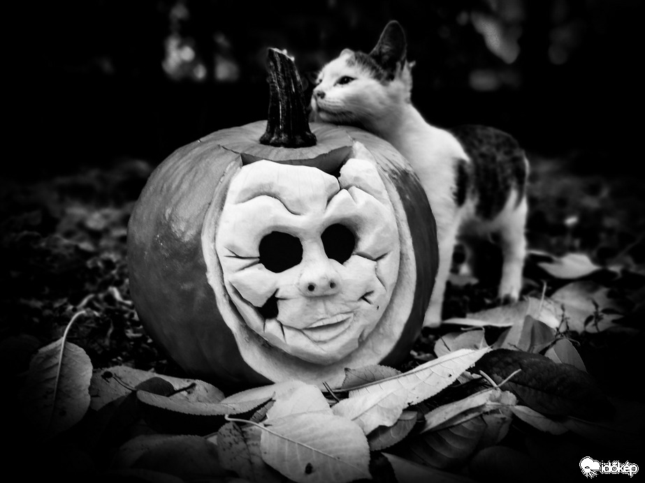 Első Halloween