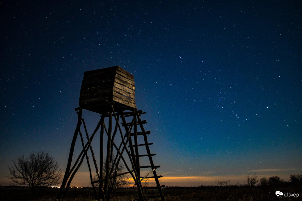 Orion 