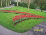 Keukenhof Hollandia