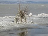 Balatonpart március 16-án!