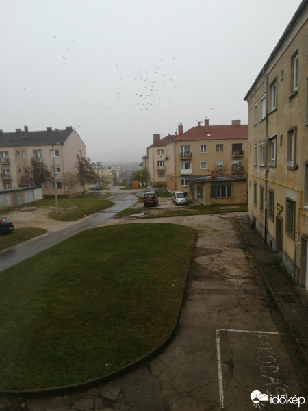 Észlelési fényképek