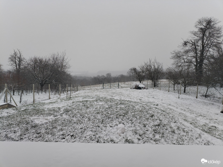 Észlelési fényképek