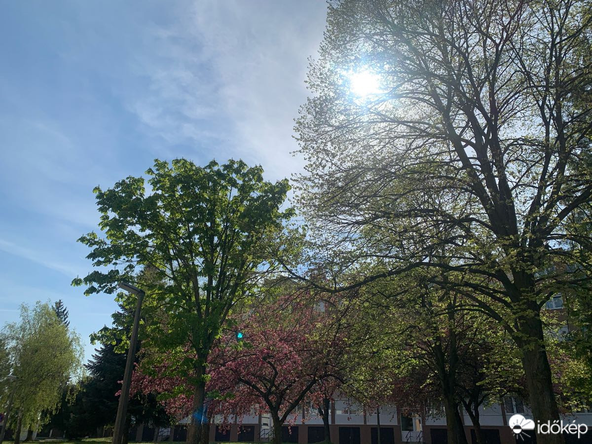 Észlelési fényképek