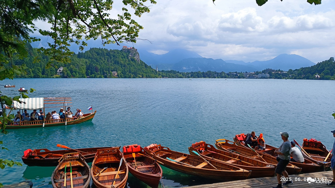 Bled