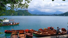 Bled