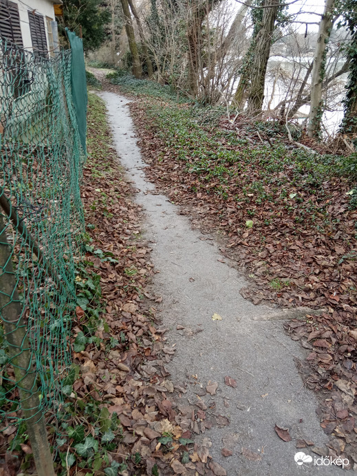 Késő őszi levélszőnyeg