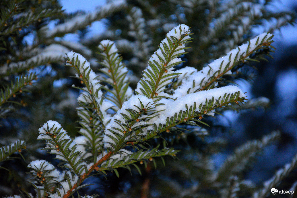 Hóra ébredtünk karácsony első napján 12.25.