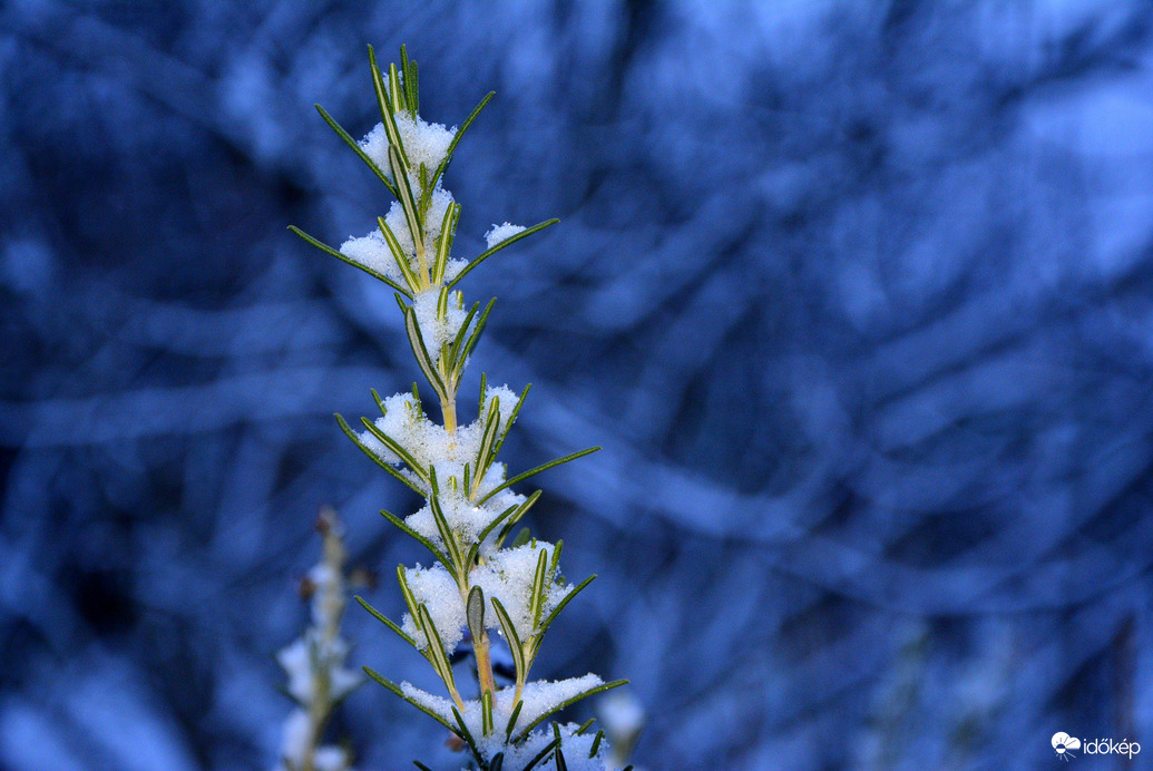 Hóra ébredtünk karácsony első napján 12.25.