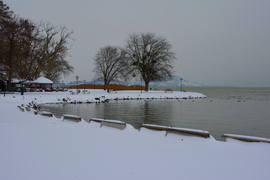 Téli csendélet a györöki strandon 
