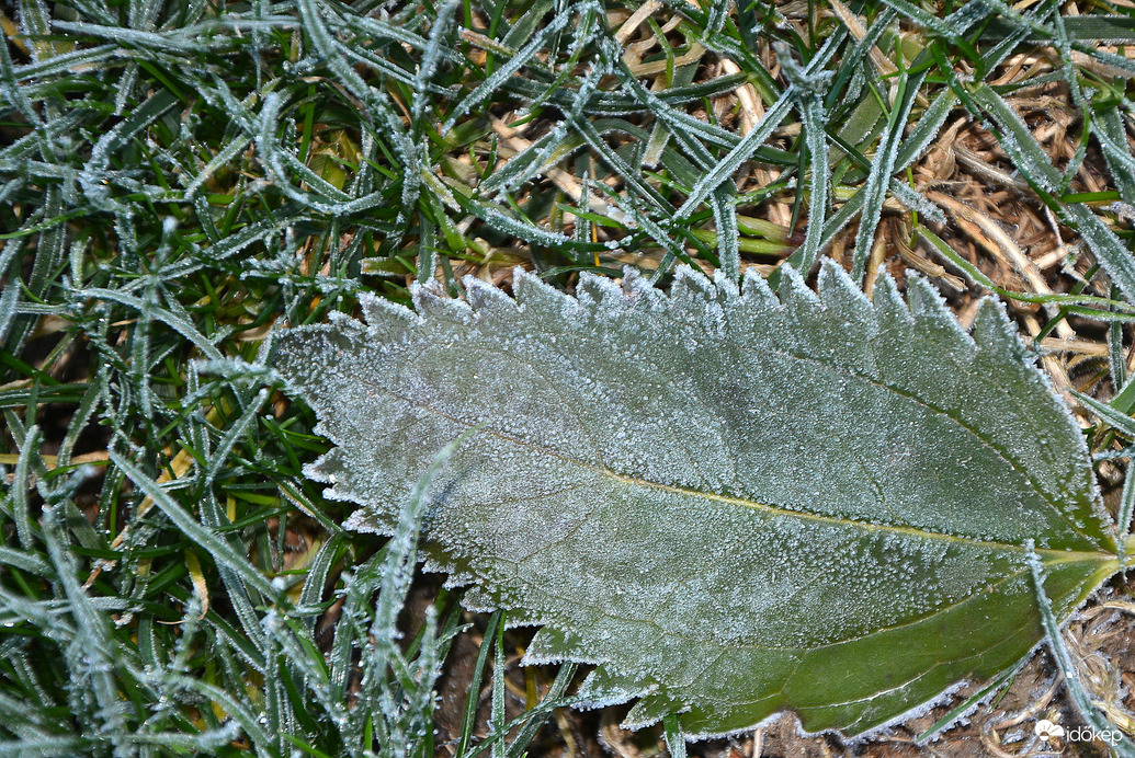 Deres reggel Szombathelyen 11.28.