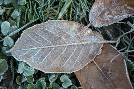 Deres reggel Szombathelyen 11.28.