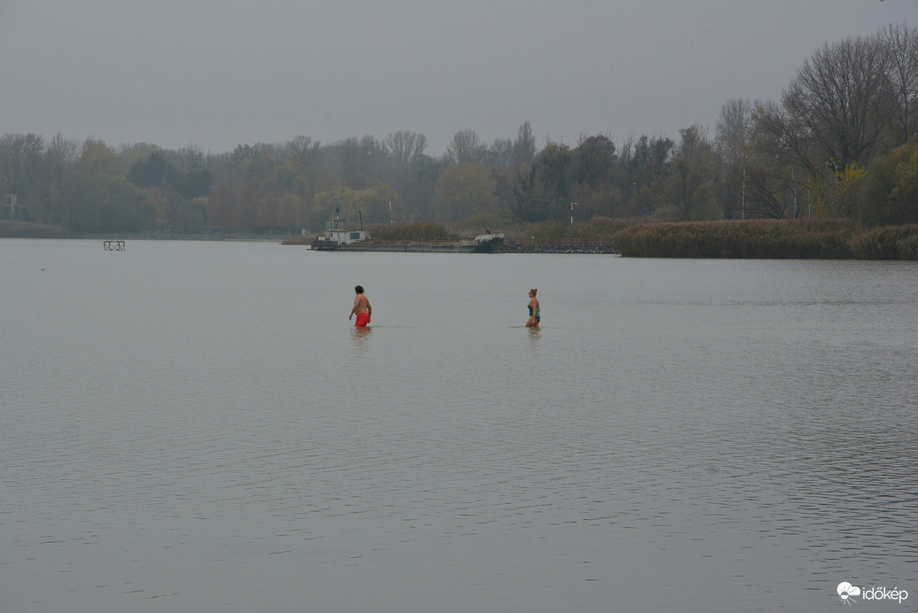 November közepén fürdőzők a Balatonban 11.16.