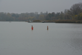 November közepén fürdőzők a Balatonban 11.16.
