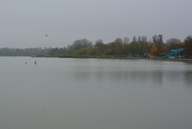 November közepén fürdőzők a Balatonban 11.16.