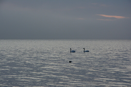 A szürke árnyalatai 11.16.