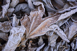 Fagyos, jeges reggel 