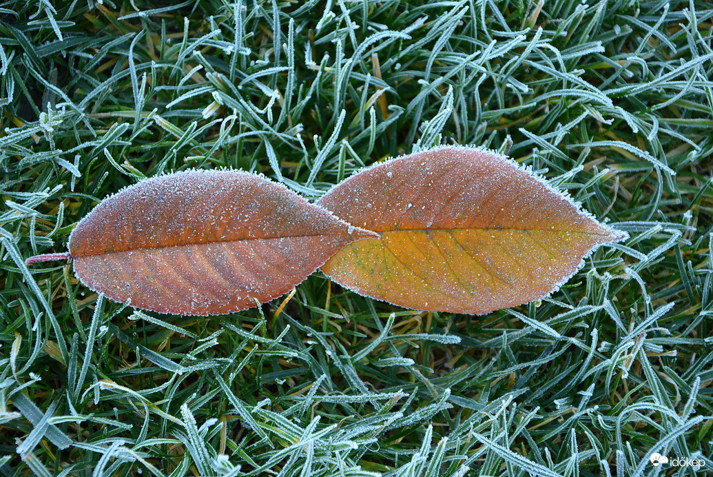 Fagyos, jeges reggel