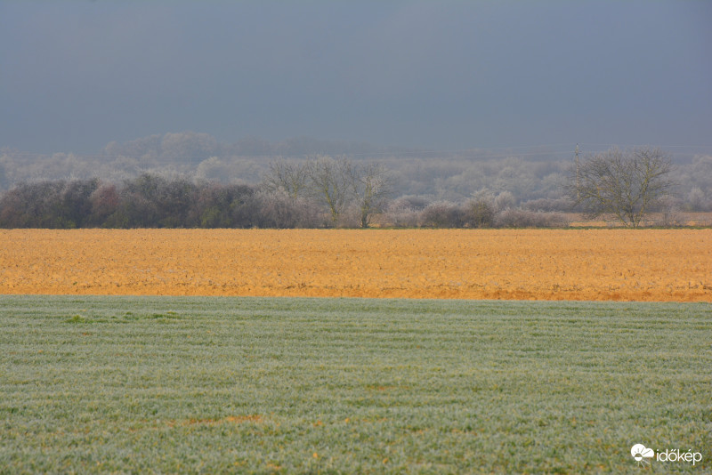 Tájkép