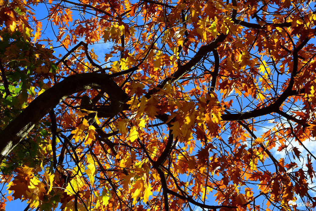 Színes októberi ősz Kőszegen 10.24.