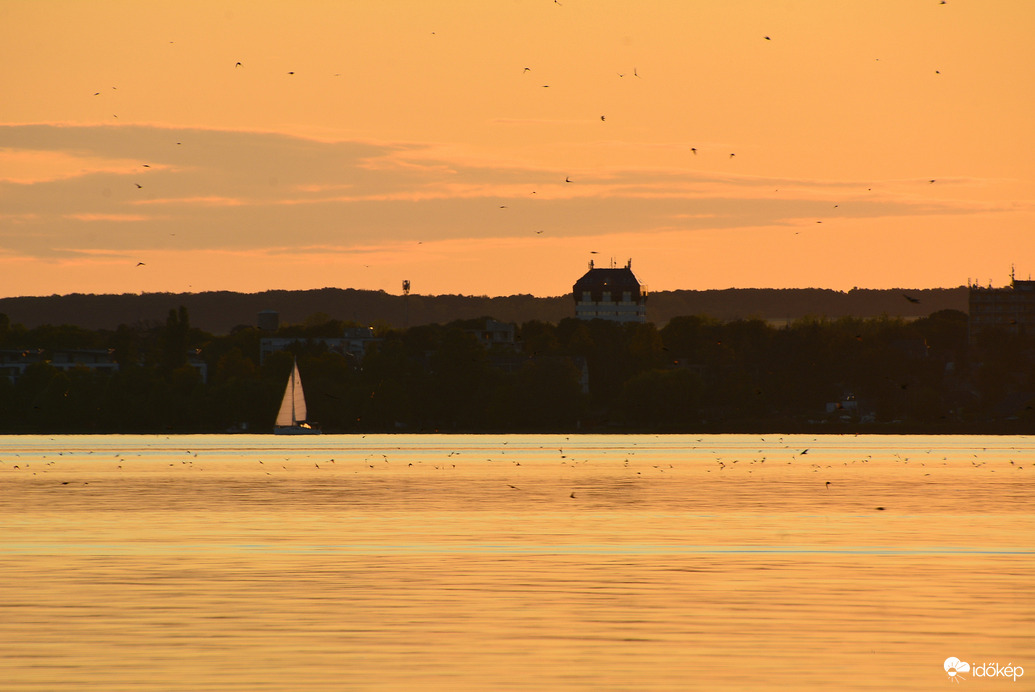 Fecskék a naplementében 09.11.