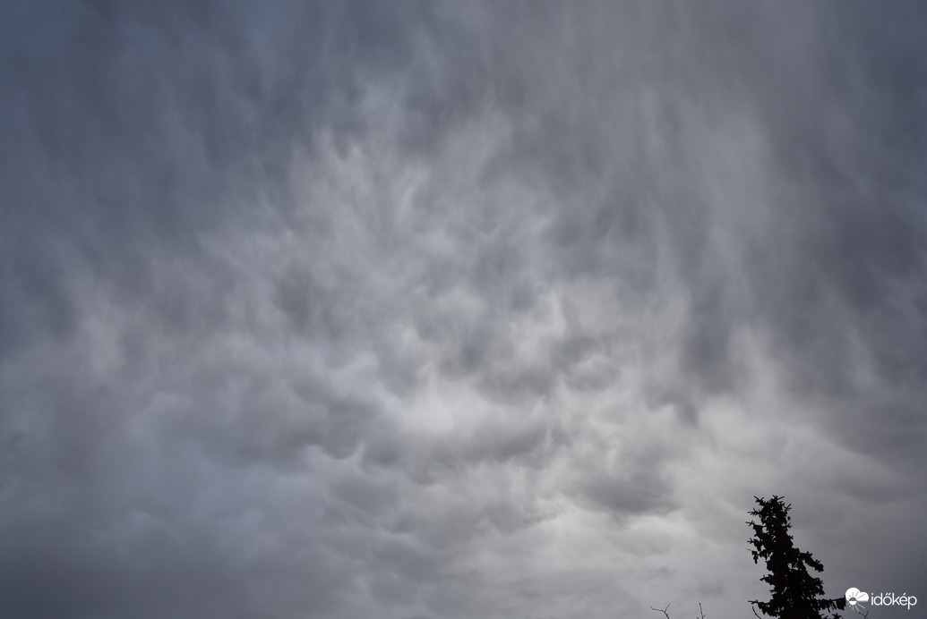 Mammák Szombathely felett 03.25.