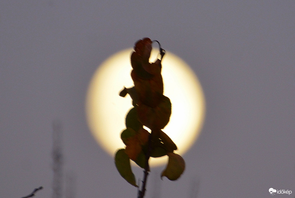 Majdnem Telihold 11.04.