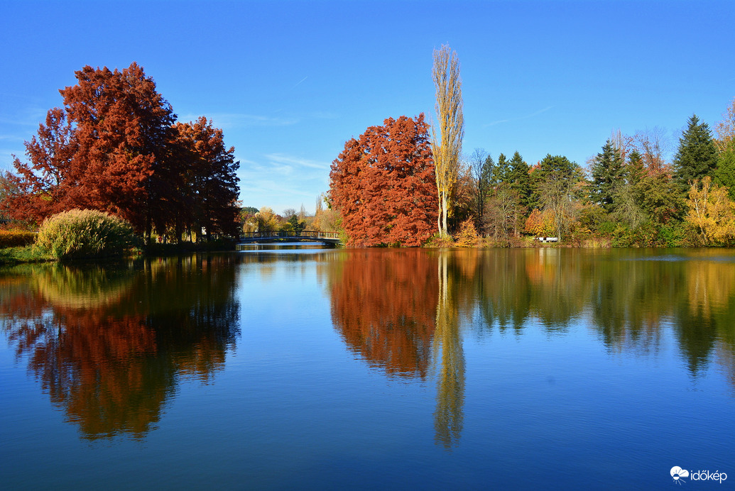Gyönyörű ősz novemberben Szombathelyen 11.05.