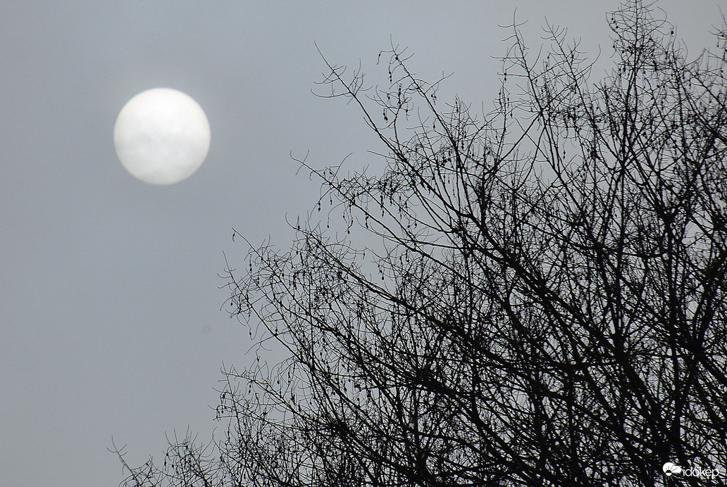 Egy pillanatra előbújt 01.24.