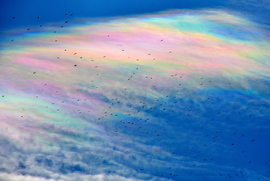 Gyönyörű irizáló felhők madarakkal 02.06.