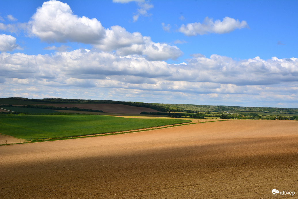 Gabonaföldek gomolyfelhők alatt