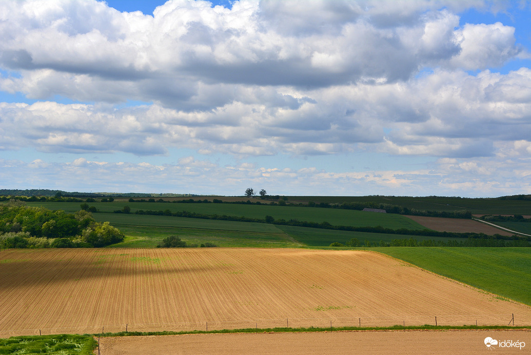 Gabonaföldek gomolyfelhők alatt